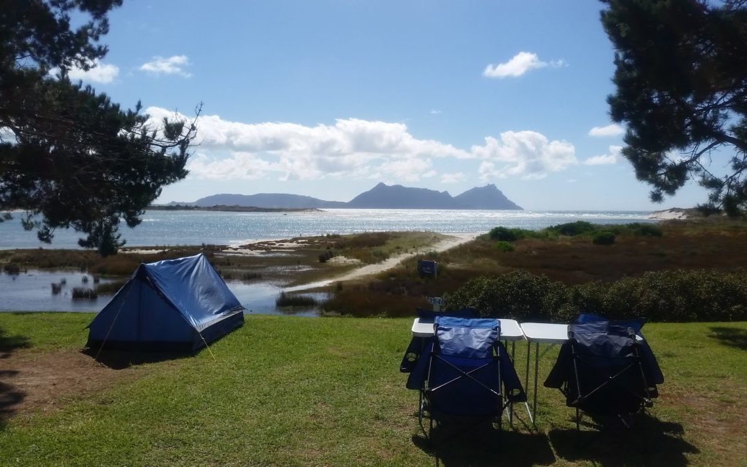 Feature Region – NEW ZEALAND – Bream Bay: The jewel in Northland’s crown