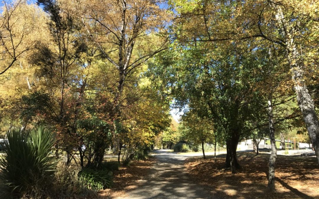 Feature Region – NEW ZEALAND – Central Otago: An autumnal wonderland