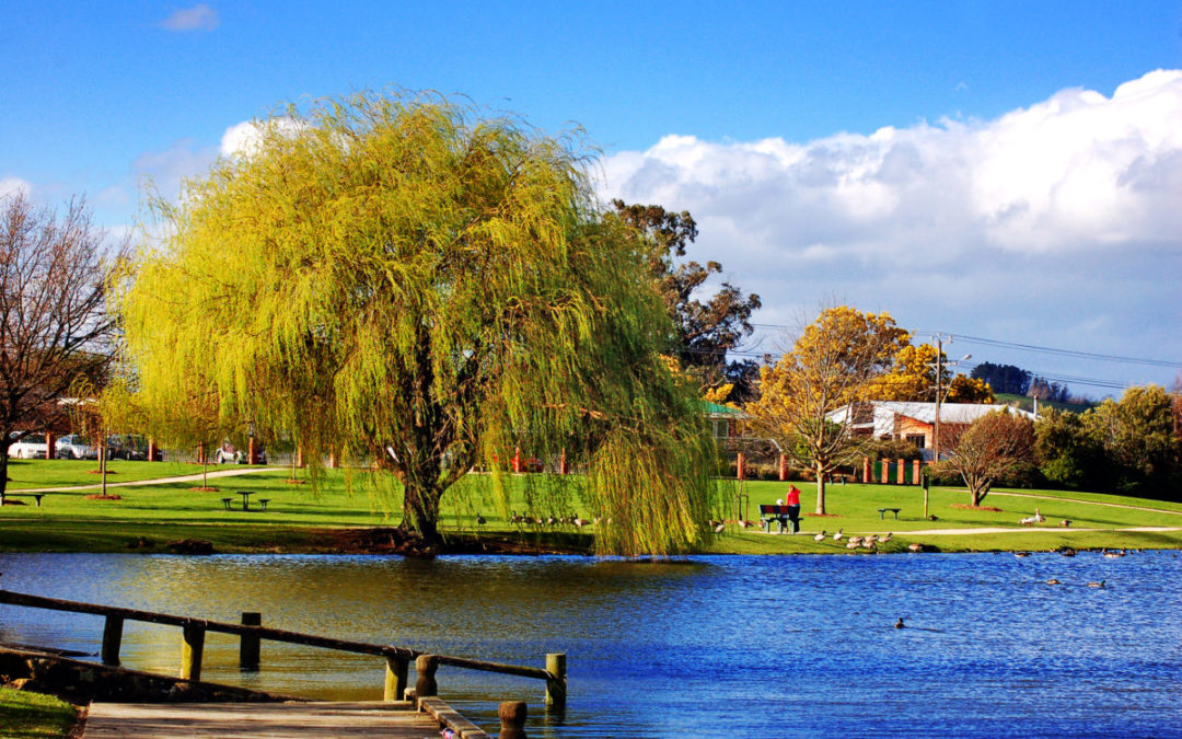 Feature Region – NEW ZEALAND – Majestic Masterton