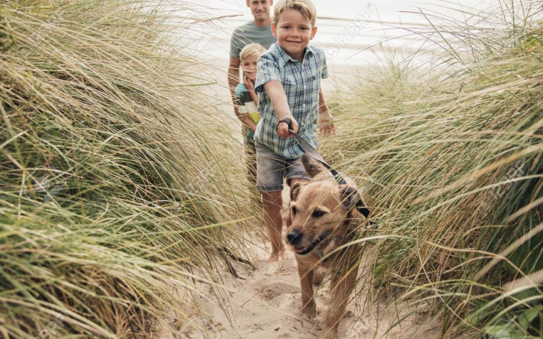 12 TIPS FOR TRAVELLING WITH YOUR PET – #7
