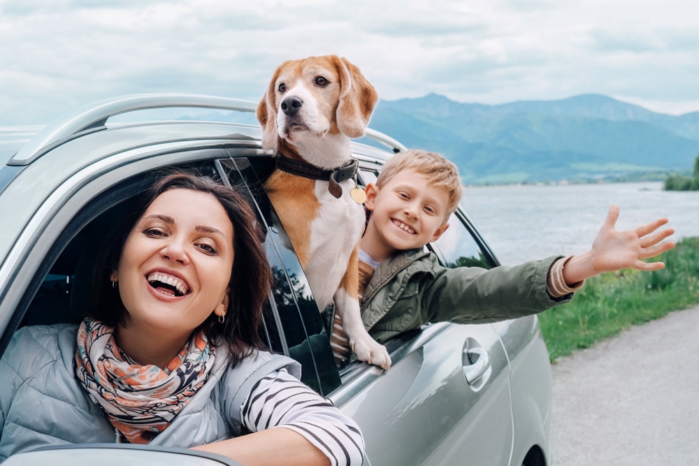 12 TIPS FOR TRAVELLING WITH YOUR PET Family Parks