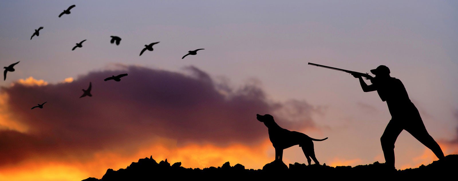 Hamills Wanaka Wanaka Sports Outdoor Leisure Retail Family Parks