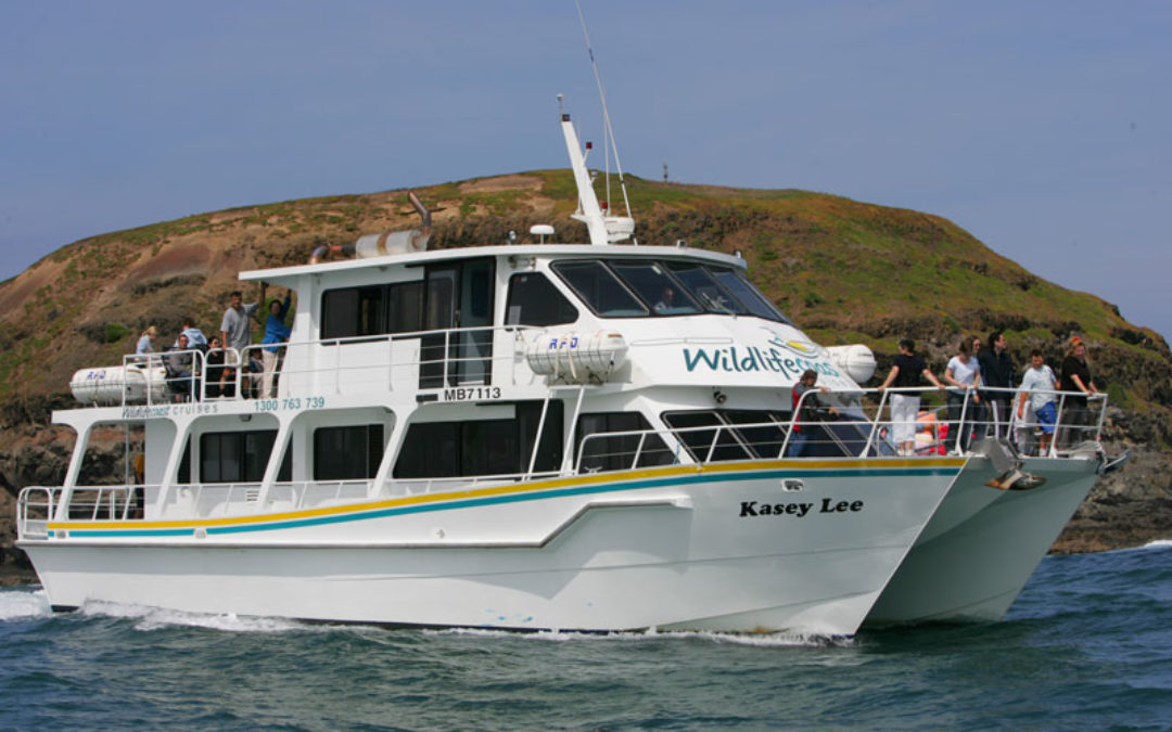 Wildlife Coast Cruises