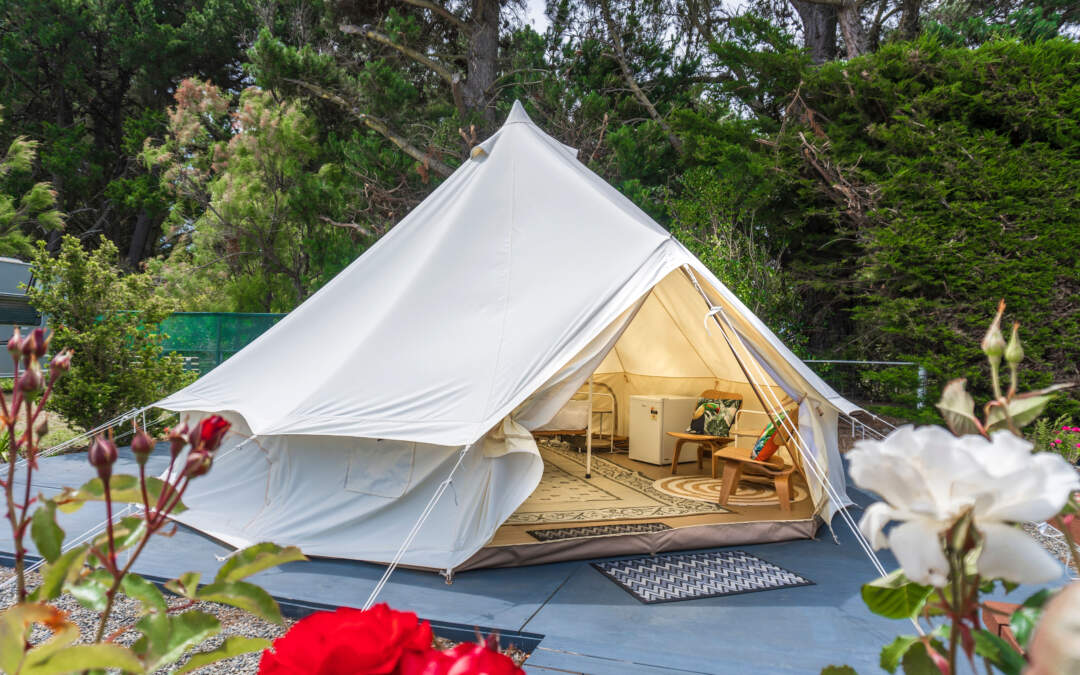 Best Parks for glamping in New Zealand