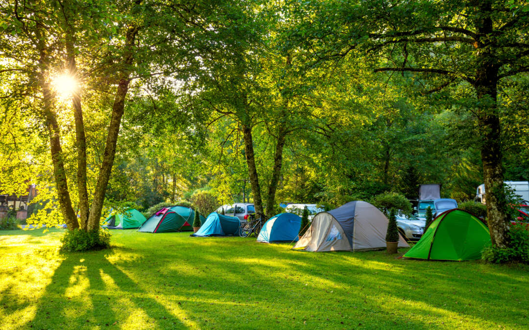 Top 5 tips for setting up the perfect campsite